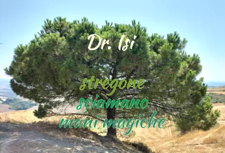 Geschaeftsschilder Tuerschilder EingangFirma Dr. Isi Bild