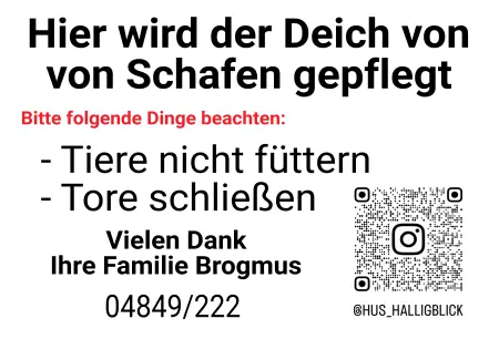 Geschaeftsschilder Tuerschilder EingangFirma Hier wird der Deich von Schafen gepflegt Bild