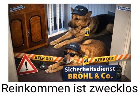 Geschaeftsschilder Tuerschilder EingangFirma Sicherheitsdienst BRÖHL & Co. Bild